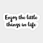 How do you find happiness in the little things?